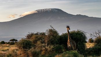 Afrique Kilimandjaro